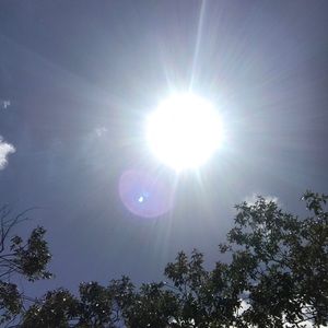 Meet your Posher, Patty